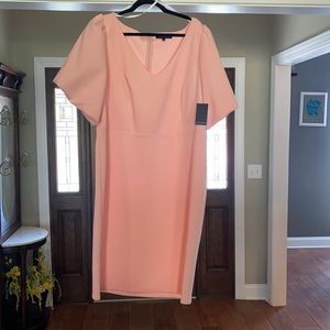 NWT Eloquii 22 Pink Dress